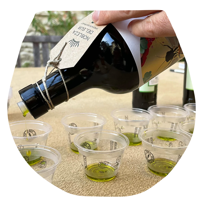 Cours et ateliers huile olive