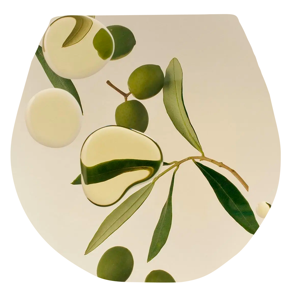 Fomration certifiante huile olive